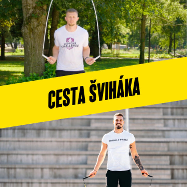 Cesta šviháka